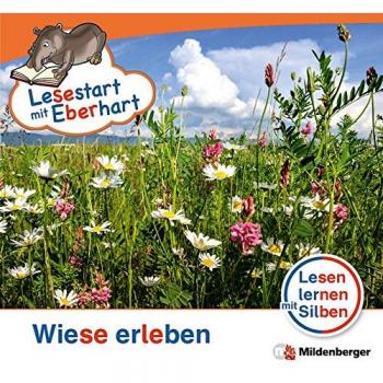 Lesestart mit Eberhart - Wiese erleben: Lesen lernen mit Silben - Themenhefte für Erstleser - Lesestufe 2