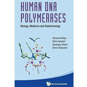 HUMAN DNA POLYMERASES
