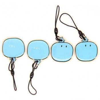 TK4100 Read Only RFID Keychain
