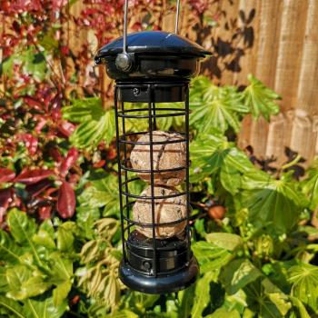 Tom Chambers Heavy Duty Flick and Click Garden Wild Bird Hanging Fat Ball Feeder