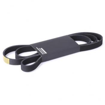 Cinghia RIDEX Poly‑V 305P0432 – Servizi e Alternatore