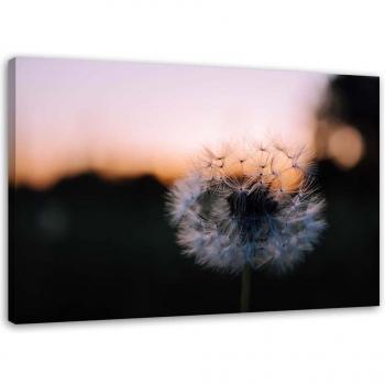Arte in Tela: Denti di Leone - Tramonto Rosa 60x40