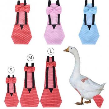 Washable Bowknot Cloth Diaper for Pets