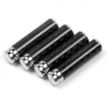 Capuchons de porte en fibre de carbone pour LADA - 4 pièces