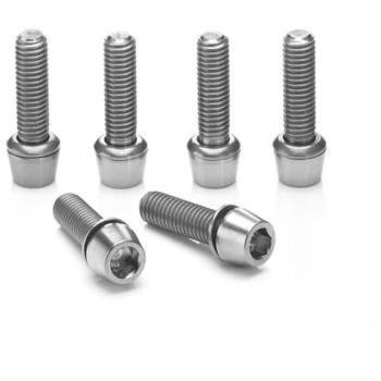 Ritchey WCS 4‑Axis Spare Kit – 6 Units (Silver)