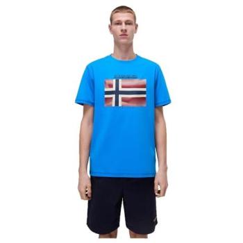 Napapijri Herrenblaues T‑Shirt „S‑Lari“ – Regular Fit, Größe S