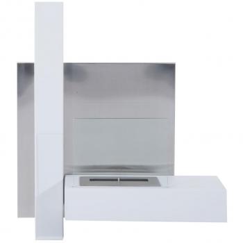 Homcom Bioethanol Fireplace Made of Stainless Steel with 1 Tank 1.5 LT 75 x 22 x 63 cm