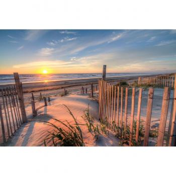 Papermoon 3D Fototapete Outer Banks Dunes