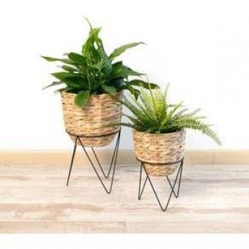 Set De 2 Maceteros Jacinto Moa Vinthera Natural