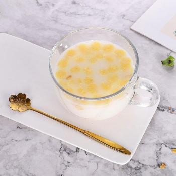 Tawny Oat 480ml Glass Breakfast Cup with Spoon