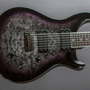 PRS SE Mark Holcomb SVN Electric Guitar