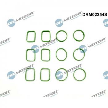 DR.MOTOR AUTOMOTIVE DRM02254S Juego de juntas colector de admisión