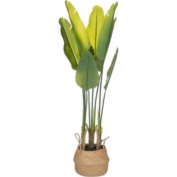 Planta artificial strelitzia en maceta de cemento 35 cm