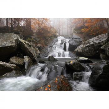Francesco Tavani Herbstnebel Tapete – Papermoon Fotografie