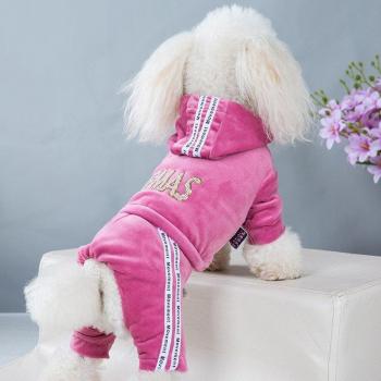 Tenue de loisirs en velours doré pour chiens à quatre pattes