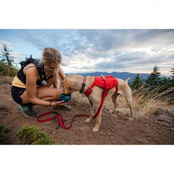 Ruffwear Imbracature Switchbak