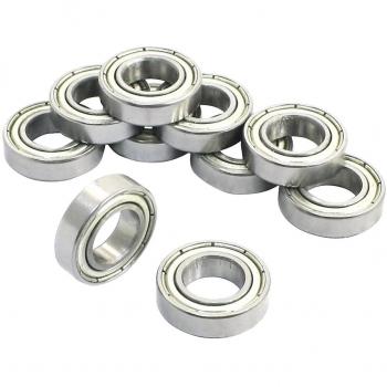 Rueda Plana 10 × 6800Z, 19 × 5 mm, Rodamiento Rígido en Plata