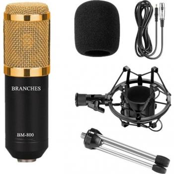 BM800 Microphone with Shock Mount