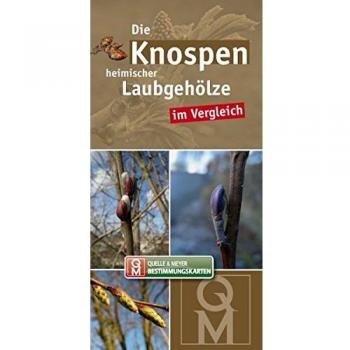 Die Knospen heimischer Laubgehölze im Vergleich (Quelle & Meyer Bestimmungskarten)
