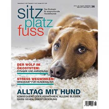 Bookazin: SitzPlatzFuss 36