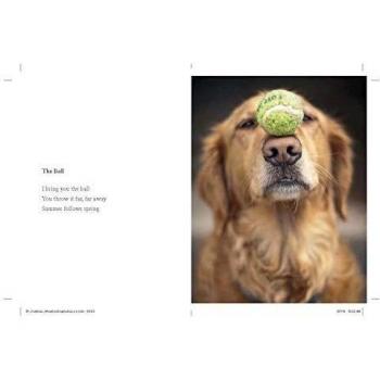 What I Lick Before Your Face : And Other Haikus by Dogs, by Jamie Coleman