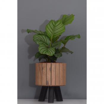 Wooden Round Medium Flower Pot