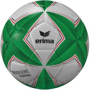 Balle de sport Erima Senzor Star