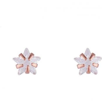 Pendientes Pluma Dorada 925