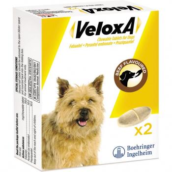 Veloxa Dog Worming Tablets