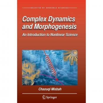 Complex Dynamics and Morphogenesis