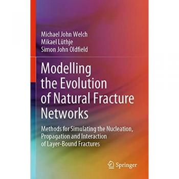 Modelling the Evolution of Natural Fracture Networks