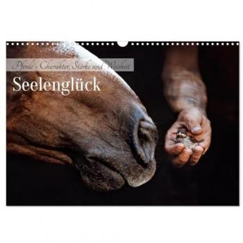 Seelenglück Pferde Kalender 2025 - Charakter, Stärke, Weisheit (Wandkalender DIN A3)