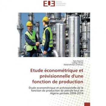 Kerichi, Ilyes: Etude économétrique et prévisionnelle d'une fonction de production