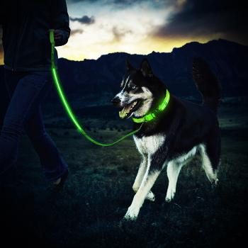 ZeWoo USB recargable Collar para Perro + LED Correa de perro - Gran visibilidad y seguridad mejorada