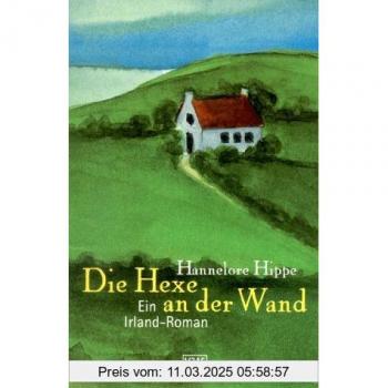 Die Hexe an der Wand. Ein Irland- Roman.