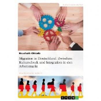 Migration in Deutschland. Zwischen Kulturschock und Integration in den Arbeitsmarkt