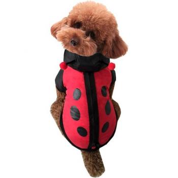 Ropa Pet Chic: Mariquita Linda Cazadora