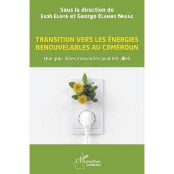 Transition vers les énergies renouvelables au Cameroun