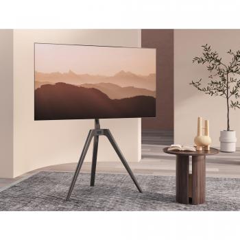 TTAP Tripod Easel Style Stand with VESA Mount