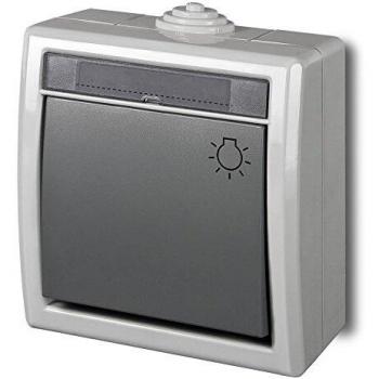 Switch Luminoso Superficie IP55 Grigio AQUANT