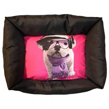Panière Pour Chat Ou Petit Chien Téo Jasmin