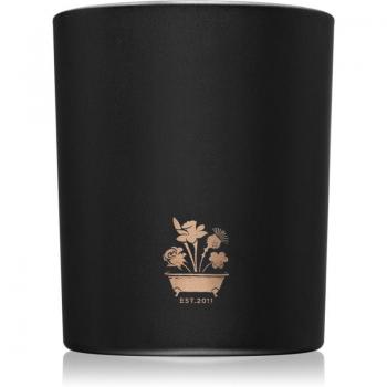 Noble Isle Willow Song Fragrant Candle 200 g