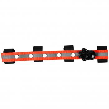 LED Equestrian Dog Collar Strap