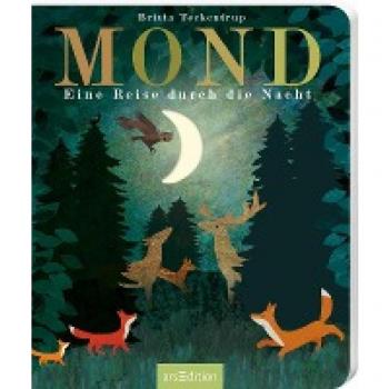Mond: Eine Reise durch die Nacht | Gereimtes Bilderbuch zur guten Nacht, mit Gucklöchern, hochwertig ausgestattet, für Kinder ab 3 Jahren
