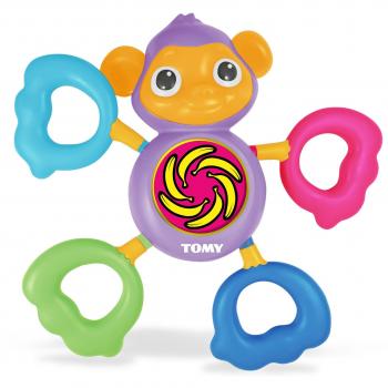 Zigoto Orchestra Tomy