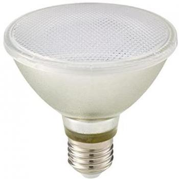Sigor Luxar Dimbare GLASS PAR30