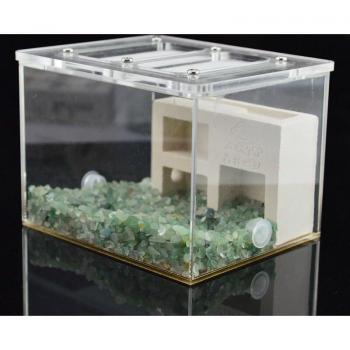 Caja Compacta de Yeso Verde
