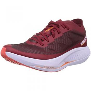 Salomon Herren Biking Schuhe Phantasm Red/Purple Heather 47⅓
