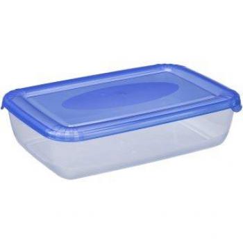 Contenitore Alimentare Polar 0,46 L Blu Quadrato