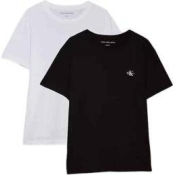 Calvin Klein Jeans Herren T-Shirt Set, 2 Stück, Bunt, Regular Fit